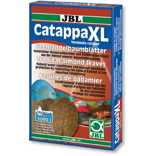 Catappa XL (10 Leaves)