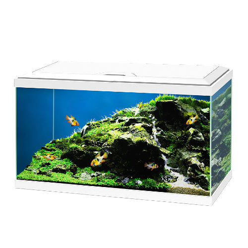 Aqua 60 LED Aquarium